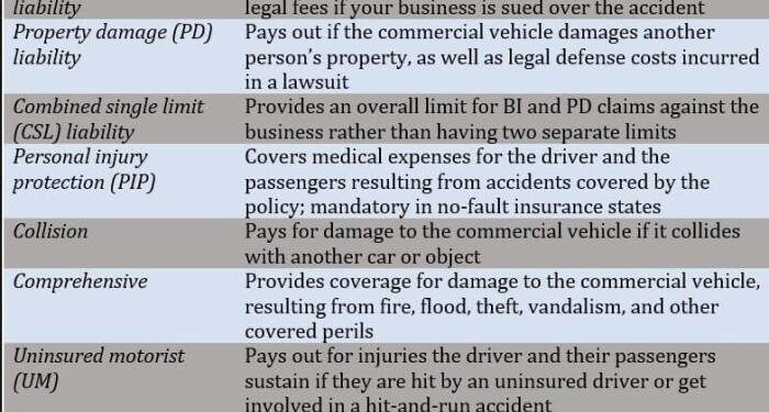 commercial vehicle policy